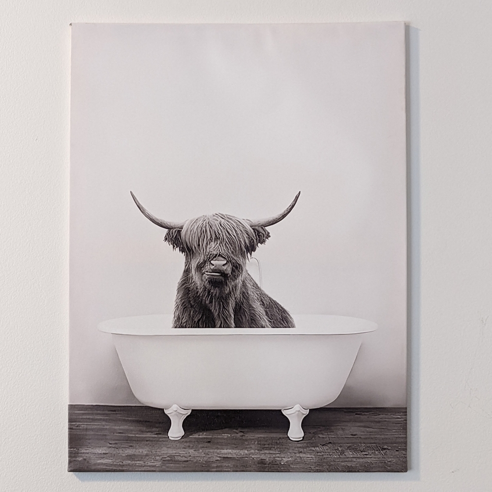 Canvas Wall Art
